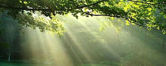 Bbio RT2012 haute-garonne